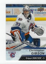 2018-19 Upper Deck AHL #11 Christopher Gibson (goalie)