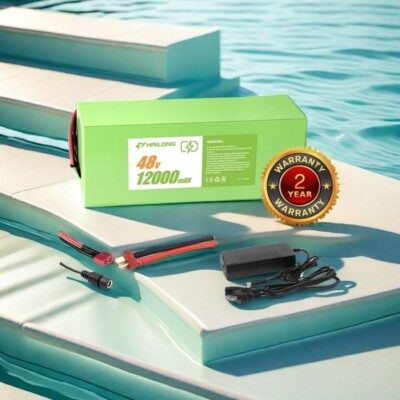 48V 12AH Battery ebike battery E-Bicycle bike Battery Pack & BMS