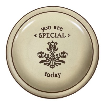 Pfaltzgraf You Are Special today Dinner Plate Village 10 Inch Rare