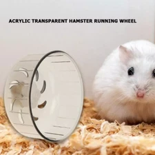 Hamster Running Wheels Transparent  Jogging Treadmill Silent Small Pet Supplies 