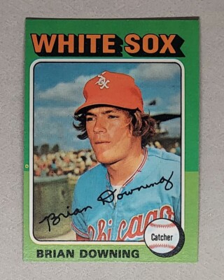 1975 Topps #422 Brian Downing Chicago White Sox Baseball Card 