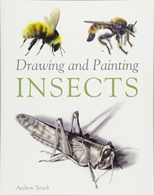Drawing and Painting Insects by Tyzack  New 9781847974891 Fast Free Shipping..