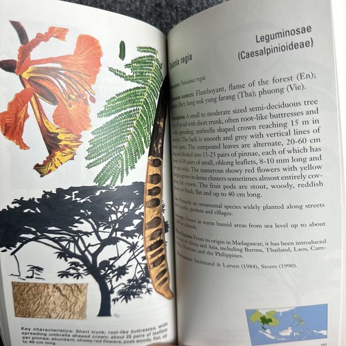 Trees And Fruits Of Southeast Asia An Illustrated Field Guide Michael Jensen - Picture 9 of 15