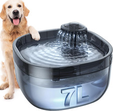 Large Dog Water Fountain with Quiet Pump, 3 Filters - Clear Black