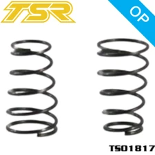 Team Saxo TS01817 Roll Spring Black Pair RC 500W Touring Car Racing Part