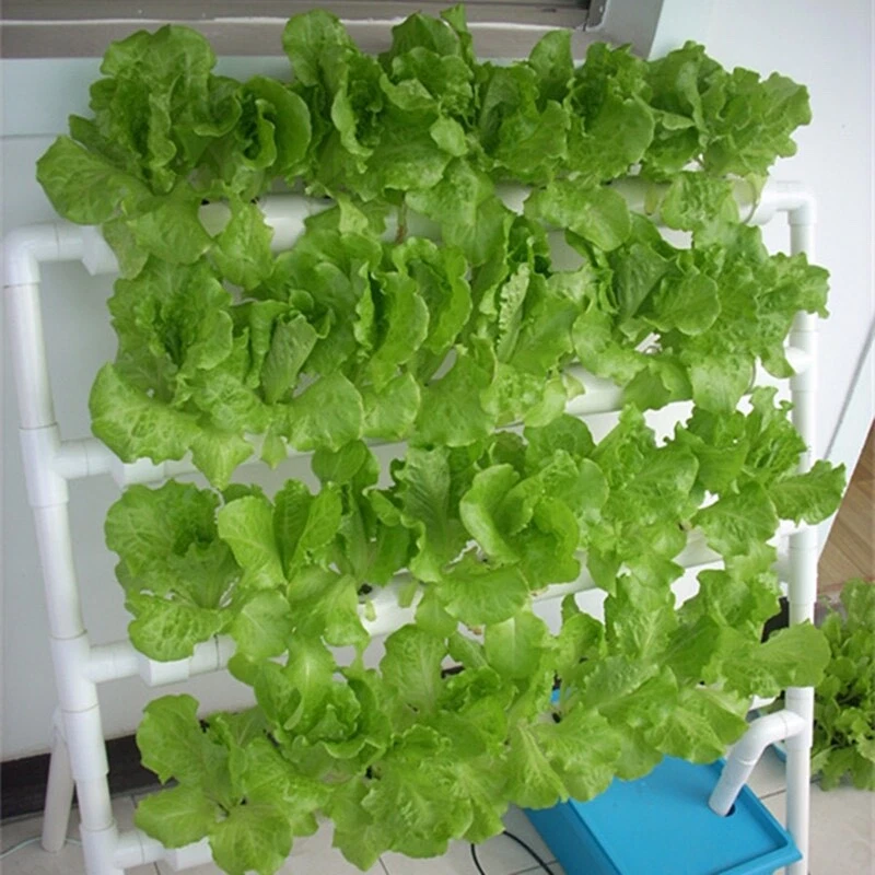 Ladder-style Hydroponic Grow Kit 36 Sites Plant Vegetable - Image 3 of 4