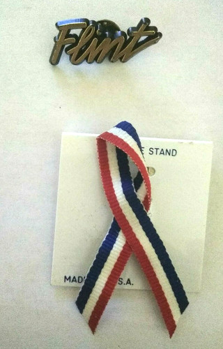2 Pins Flint And United We Stand