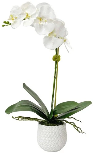 Uttermost Cami White Orchid 24"H Faux Flowers in Ceramic Pot - Picture 2 of 3