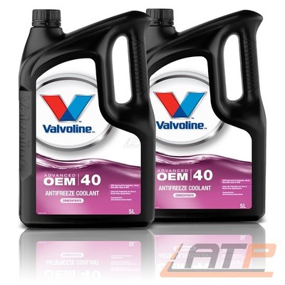 VALVOLINE 10 L OEM ADVANCED AFC 40 KÜHLERSCHUTZ SCHUTZMITTEL KÜHLER PINK/VIOLETT
