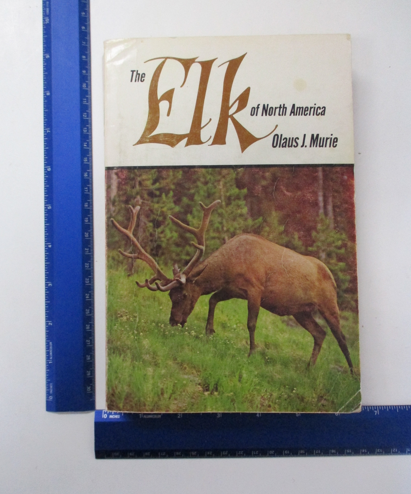 The Elk of North America by Olaus Johan Murie - Paperback Edition