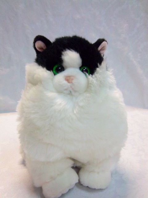 Aurora Black & White Fat Cat 9
