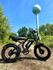 1500W Peak Electric Bike Dual Motor E-Mountain Bike 20'' Fat Tire for Adults