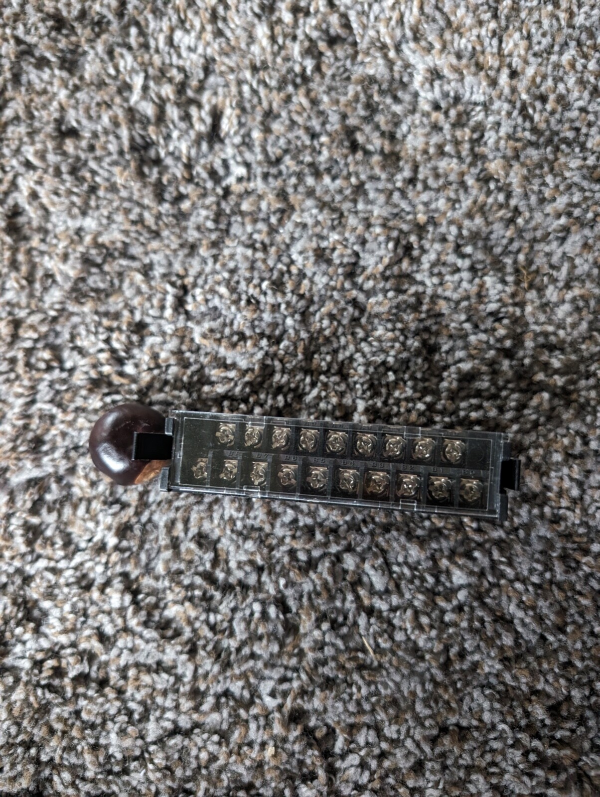 Picture 4 of 5