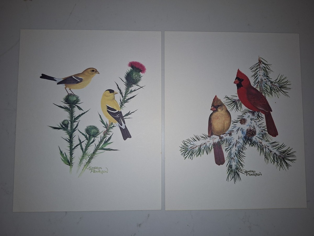 アート・デザイン・音楽 CLASSIC NATURAL HISTORY PRINTS BIRDS il_fullxfull.3547562014_bqxu.jpg