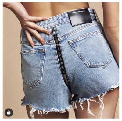 NWT Alexander Wang Bite Zip High Rise Jean Shorts Cut Off in