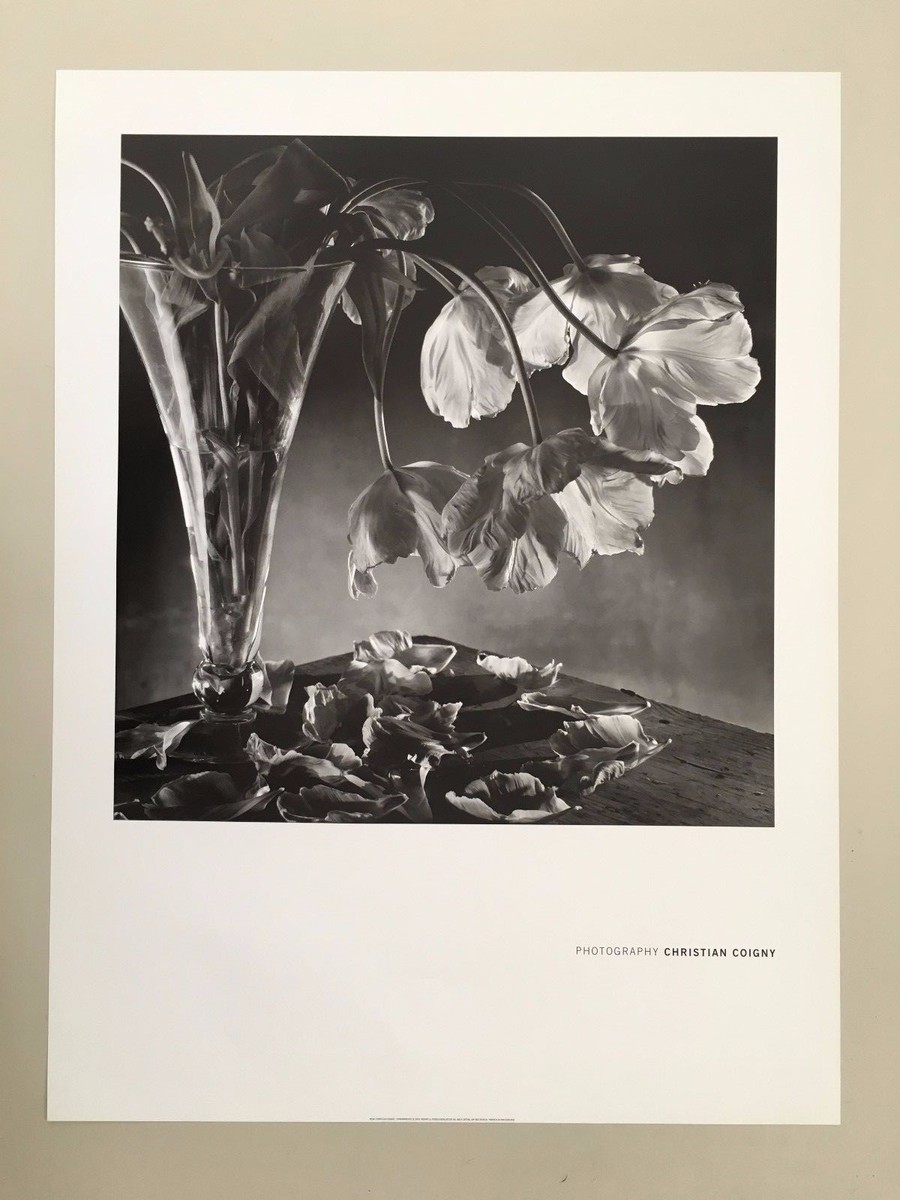CHRISTIAN COIGNY, 'TRANSPARENCE' AUTHENTIC 2005 POSTER | eBay