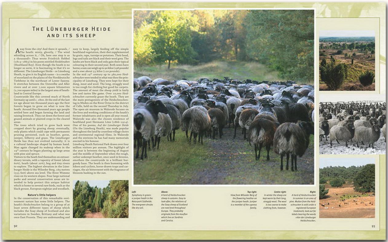 Thumbnail - Journey Through Lower Saxony Georg Schwikart Buch Journey Through