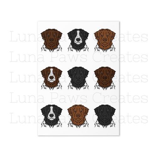 Stabyhoun card, Stabyhoun Birthday Card Dog Print Card, Dog Card - Picture 2 of 4