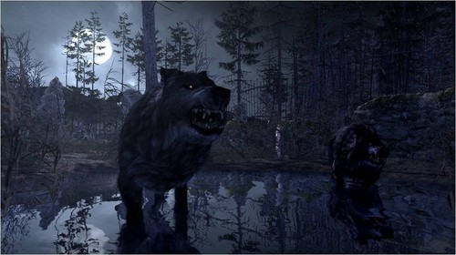 PlayStation 3 Cabela`S Dangerous Hunts 2011 - Playstation 3 (US IMPORT) GAME NEW - Picture 3 of 7
