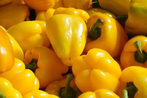 SURVIVAL SEEDS VEGETABLE MIX,GROW YOUR OWN SPICES HERBS & GARDEN VEGETABLES - Picture 18 of 21