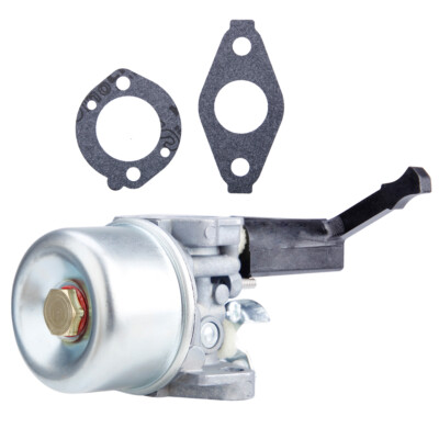 Bailitong carburetor 696065 697422 with gasket kit 110402 110412 215369 Tiller e