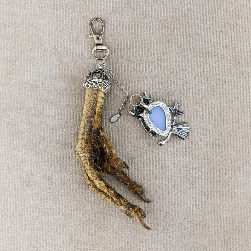Gancho pie de pollo y búho ópalo búho encanto talismán taxidermia accesorio regalo Foto 3 de 4