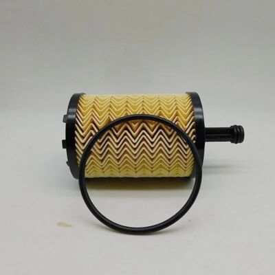 10Pcs 295948 For Maserati Quattroporte V8 Gts 3.8 oil filter