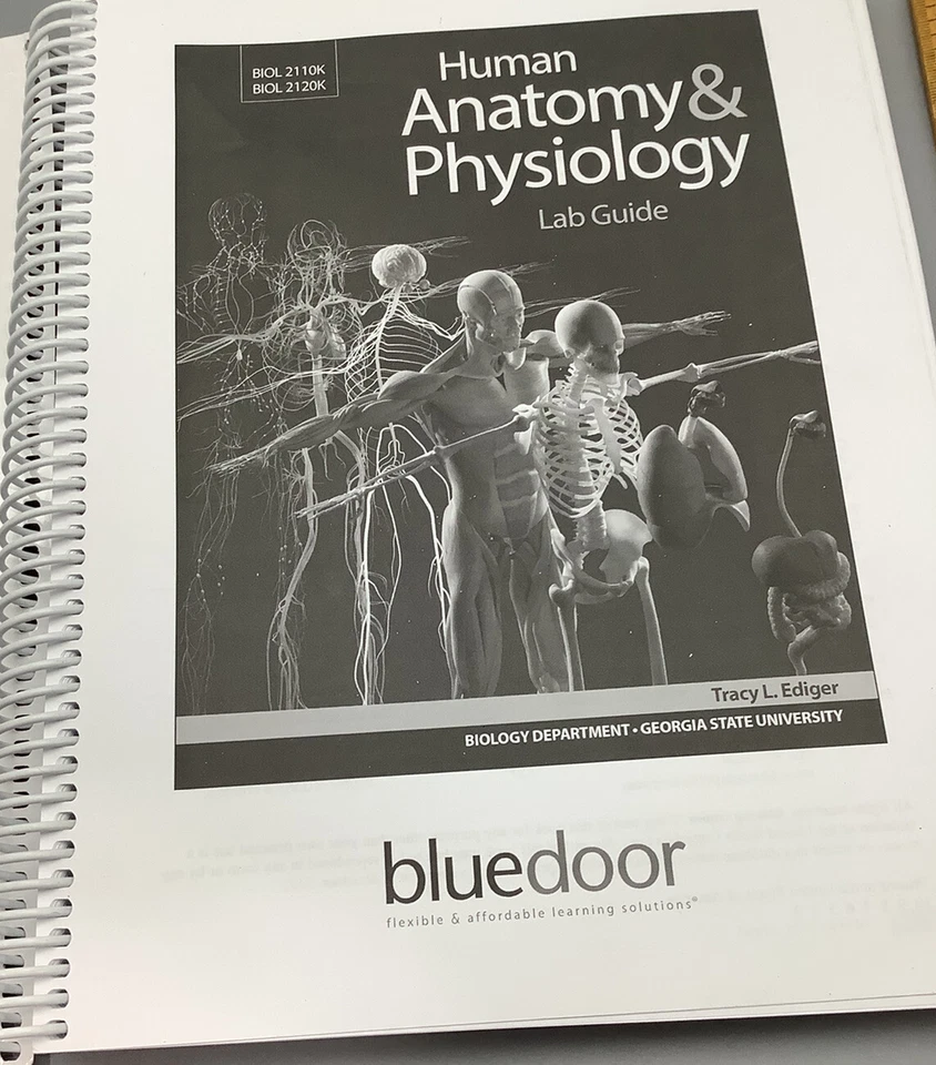 BOOK Spiral - Human Anatomy & Physiology EDIGER- Biology.Georgia State Univ.2020 - Image 3 of 3