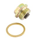 Warrior Sump Plug w/ Washer Suitable For Yamaha XJR1300 2007