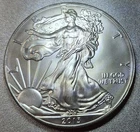 1 oz silver walking liberty 2013 coin