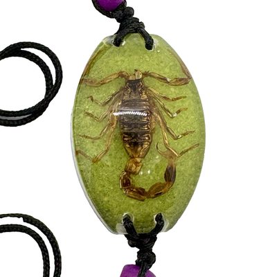 #ad Scorpion Insect Bracelet in Resin Specimen Collection $11.00