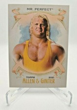 2021 Topps Heritage WWE Allen and Ginter #AG13 Mr. Perfect wrestling card