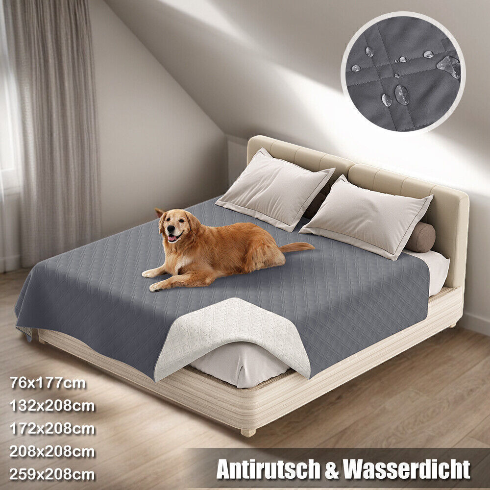 Bild 3 von 14