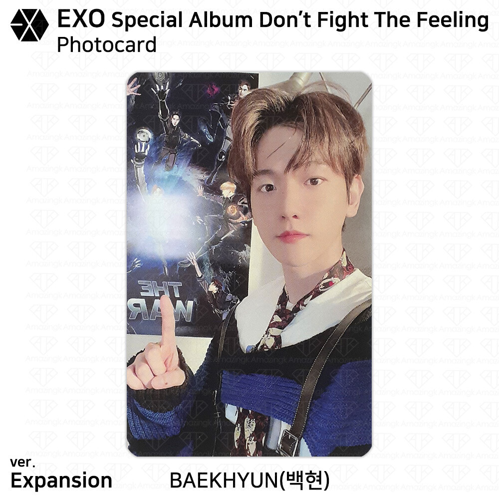 EXO - EXO don't fight the feeling ベッキョン トレカ EXO Special Album Don't Fight the Feeling Official Photocard