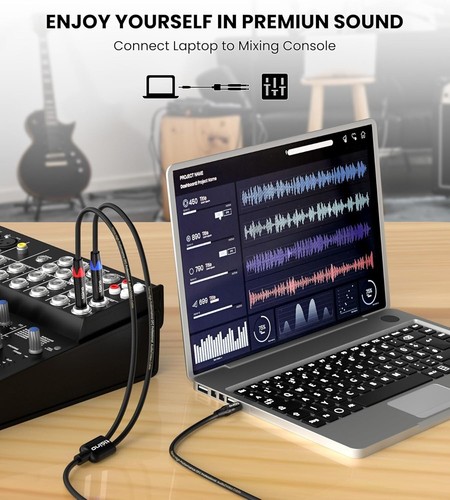 3.3ft 1/8 TRS to Dual 1/4 TS Cable - Audio Adapter for Multiple Devices - Picture 8 of 10