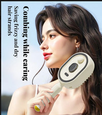 Electric Steam Hair Brush Spray Comb Anti Static Detangling Scalp Massager USB