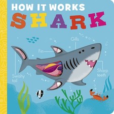 How it Works: Shark by Molly Littleboy (Board book)