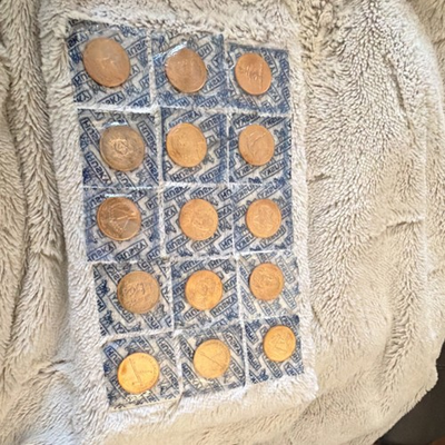 #ad Husky Trade Tokens “Tribe Series” Lot of 15 Promo Coins Medallions 1 Duplicate $5.00