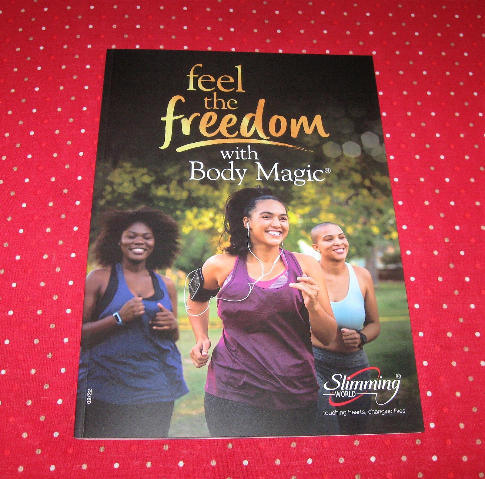 NEW! 2023 PLAN SLIMMING WORLD STARTER PACK COMPLETE, NEW SYN VALUES. POST  TODAY!