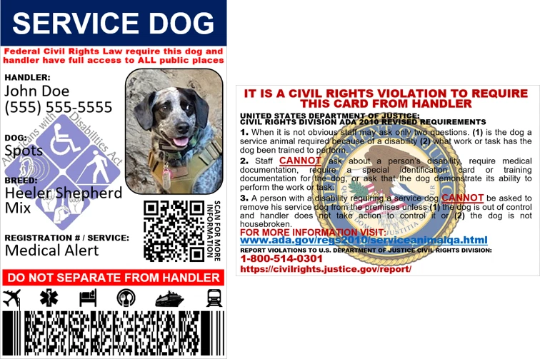 УДОСТОВЕРЕНИЕ ЛИЧНОСТИ СЛУЖЕБНОЙ СОБАКИ ADA, РЕГИСТРАЦИЯ, ДЕРЖАТЕЛЬ КАРТЫ И УСКОРЕННАЯ ДОСТАВКА - Изображение 2 из 4