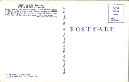Gruppe von Meerjungfrauen in Weeki Wachee FL Vintage Postkarte Q41 - Bild 2 von 2