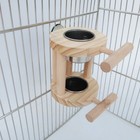 Bild 10 von 11