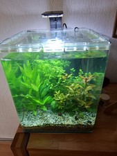 Dennerle Nano Cube Complete 30 L - "2022 Version" - Nano Aquarium Komplettset