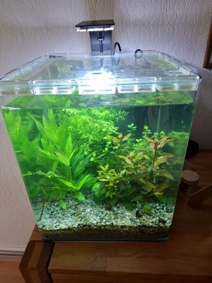 Dennerle Nano Cube Complete 30 L - ''2022 Version'' - Nano Aquarium Komplettset