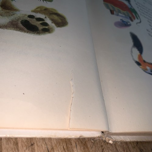 1944 ANIMAL STORIES BOOK BY GEORGES DUPLAIX Vintage Hardcover NO Dust Jacket - Foto 15 di 20