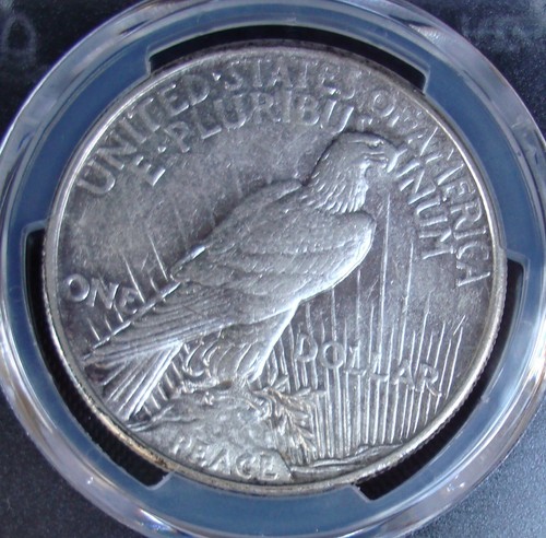 1921 High Relief Peace Silver Dollar - PCGS AU 53 - Gold Shield - Picture 4 of 5