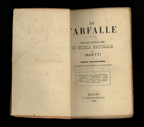 libro LE FARFALLE Felice Franceschini con 230 incisioni E. TREVES EDITORE 1870 - Picture 3 of 5