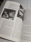 Foto 17 di 24