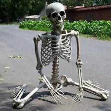 5.4ft Halloween Skeleton Full Body Life Size Skeleton Bones with Movable Joints