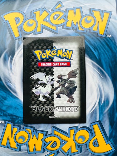 Pokemon Vintage Card Protectors Sleeves Wizard TCG Pikachu Charizard Rayquaza - Picture 18 of 121